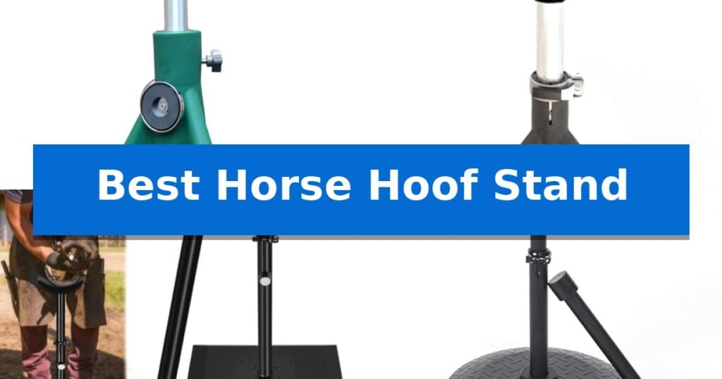 Best Horse Hoof Stand
