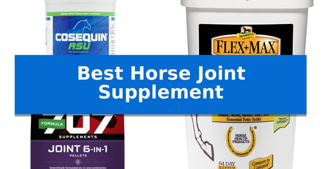 Best Horse Joint Supplement