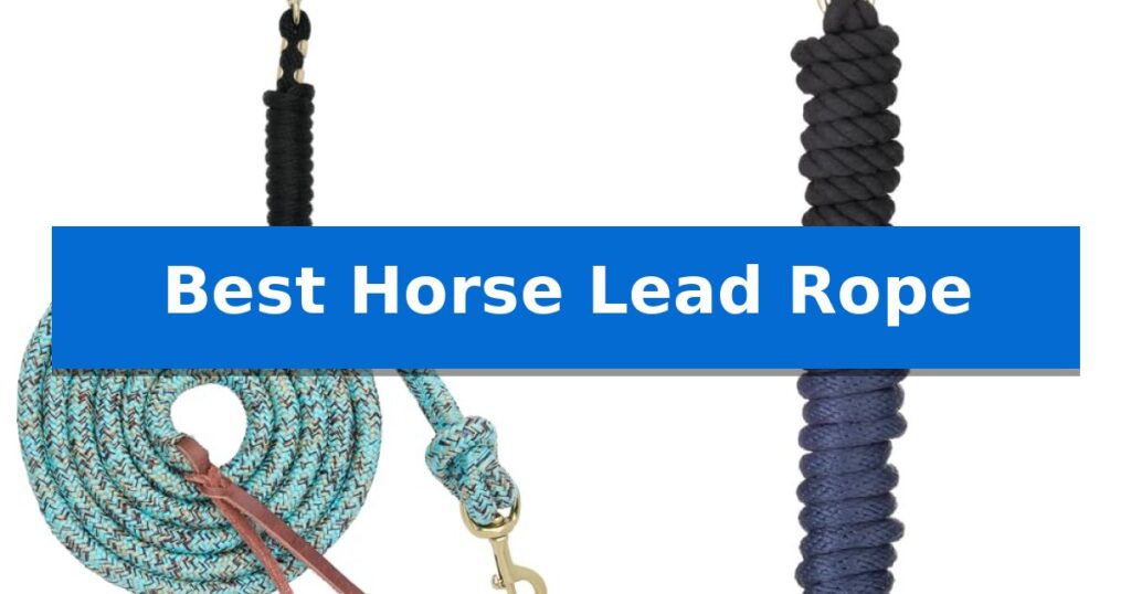 Best Horse Lead Rope
