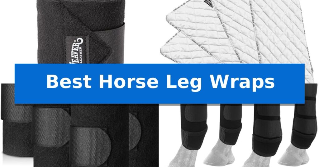 Best Horse Leg Wraps