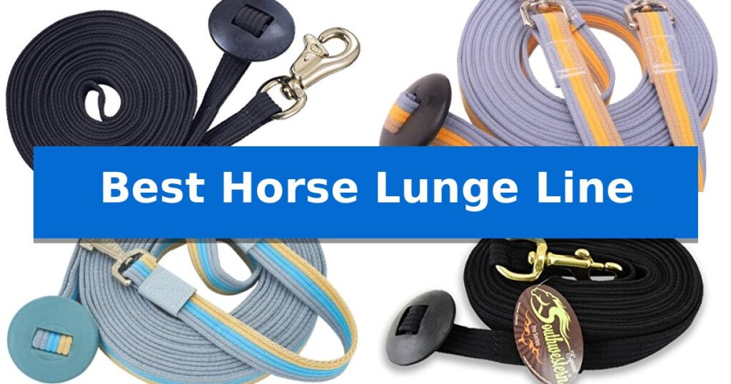 Best Horse Lunge Line