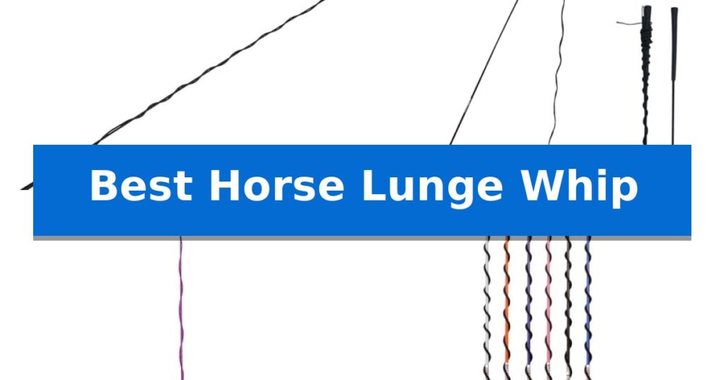Best Horse Lunge Whip