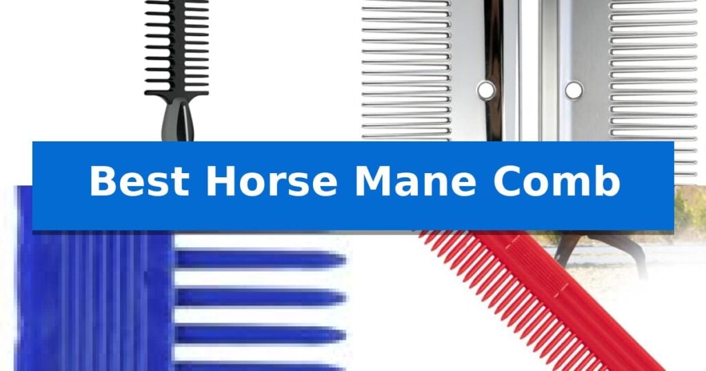 Best Horse Mane Comb