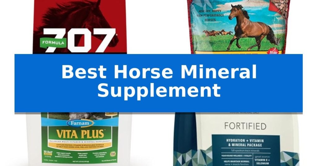 Best Horse Mineral Supplement