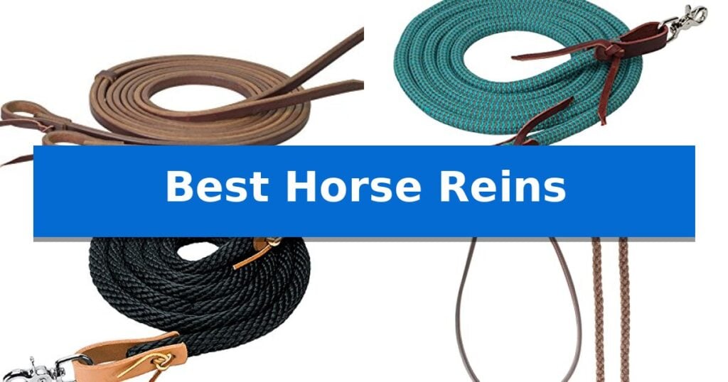 Best Horse Reins