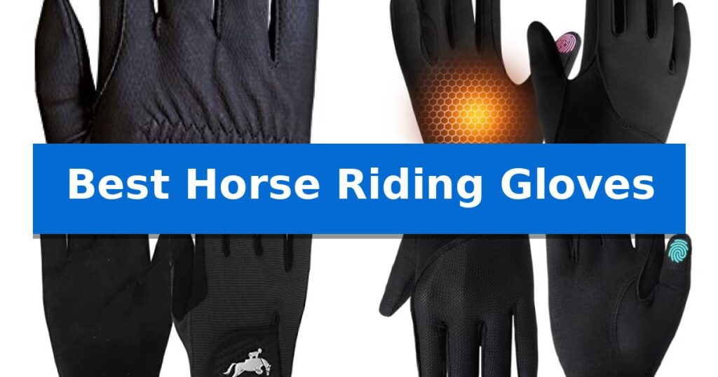 Best Horse Riding Gloves