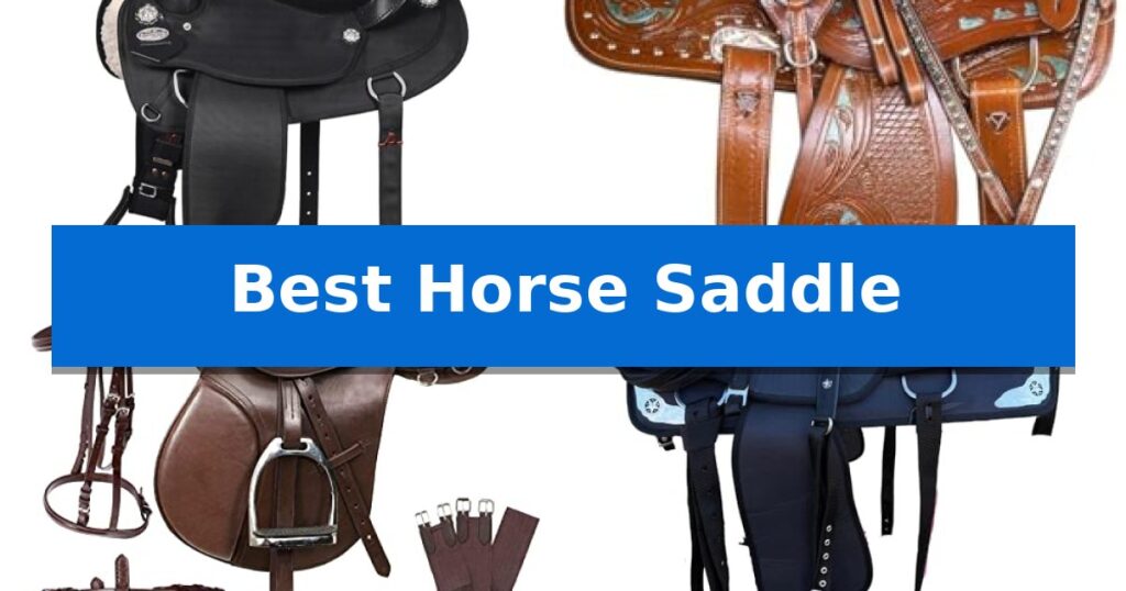 Best Horse Saddle