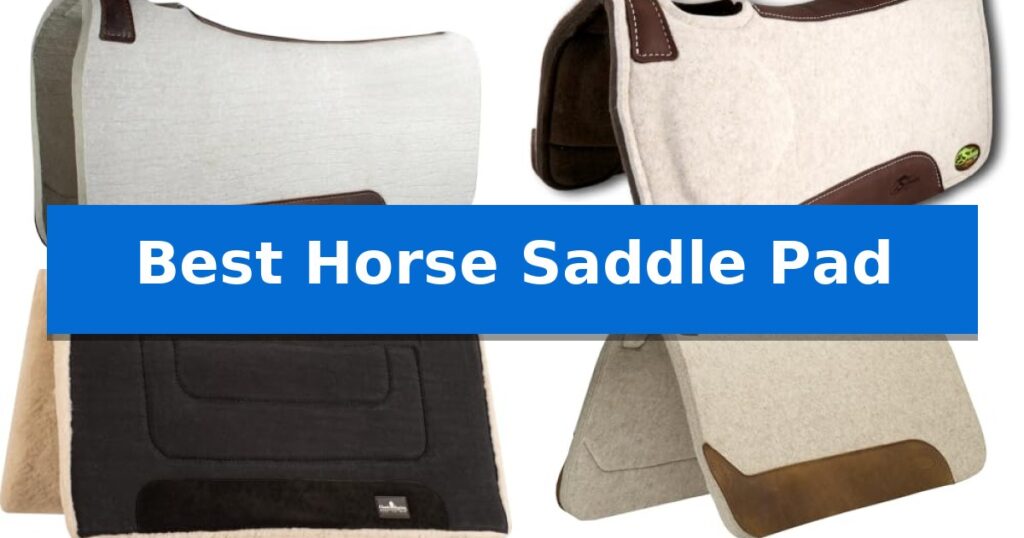 Best Horse Saddle Pad