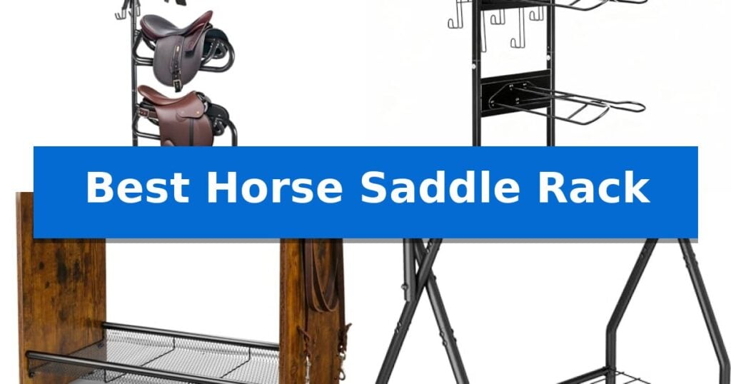 Best Horse Saddle Rack