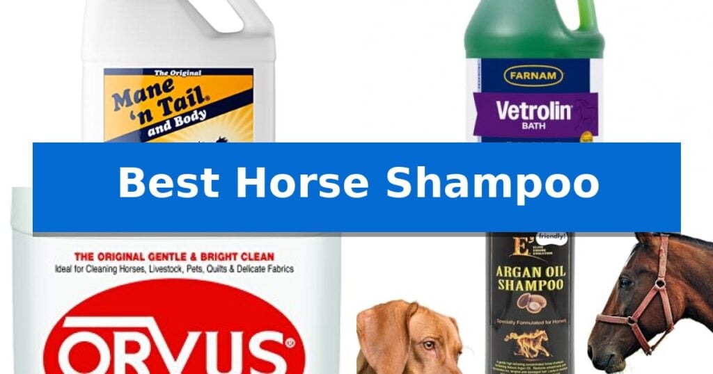 Best Horse Shampoo
