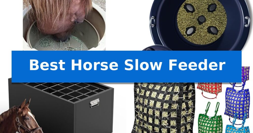 Best Horse Slow Feeder