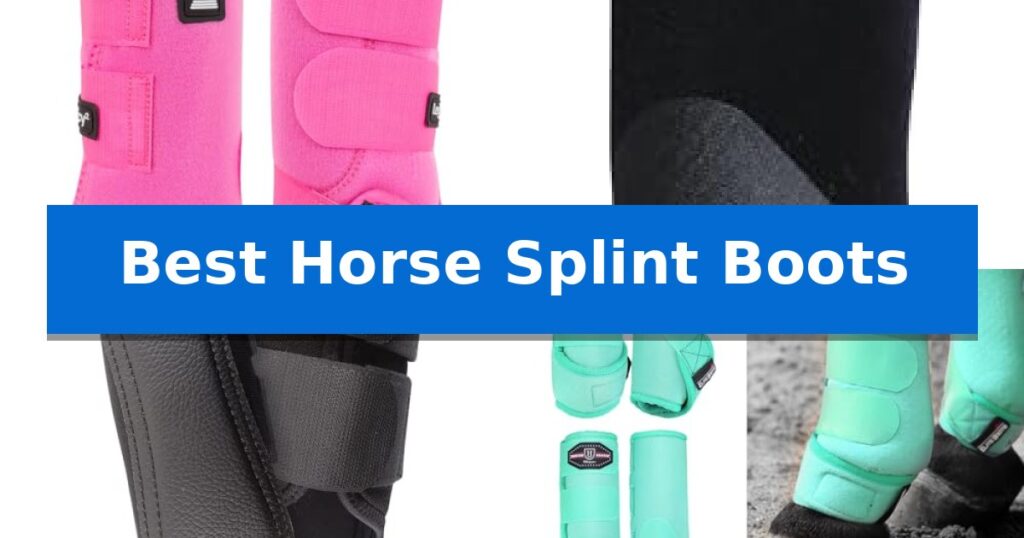 Best Horse Splint Boots
