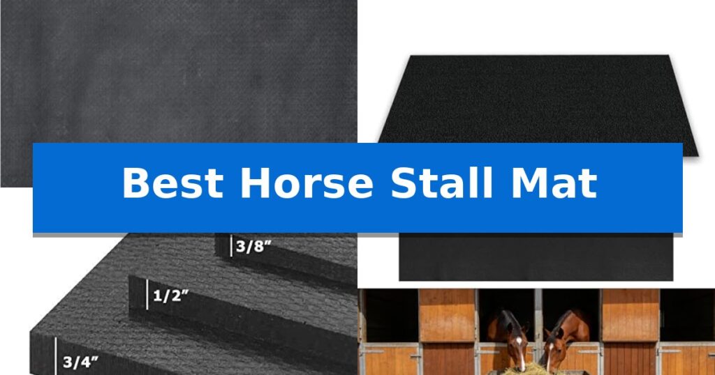 Best Horse Stall Mat