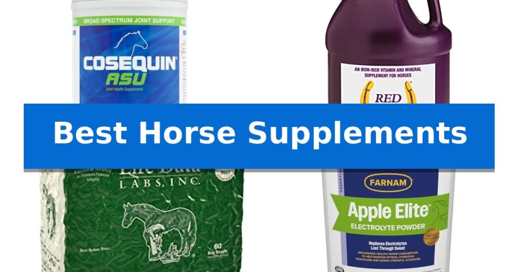 Best Horse Supplements