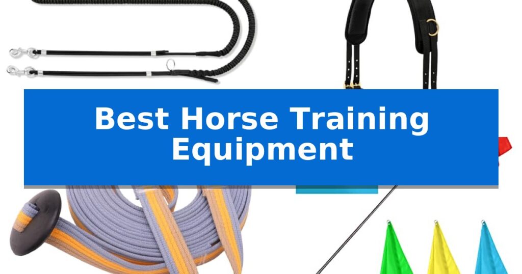 Best Horse Training Equipment