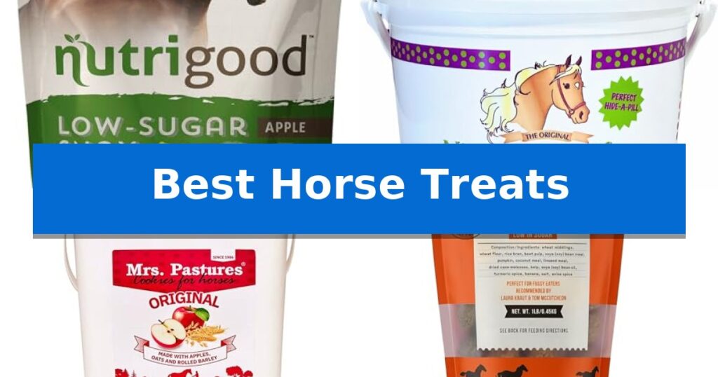 Best Horse Treats
