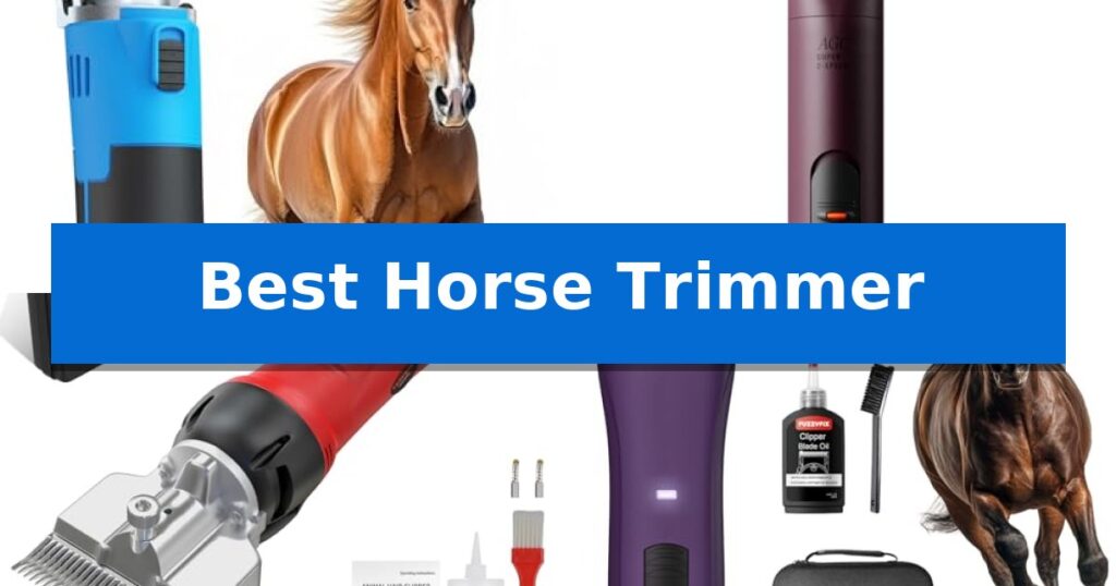 Best Horse Trimmer