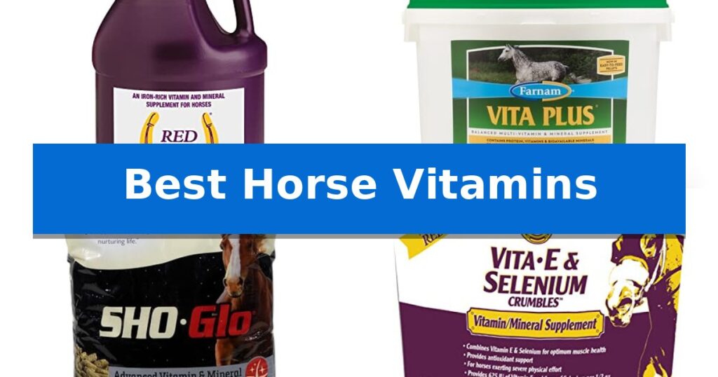 Best Horse Vitamins