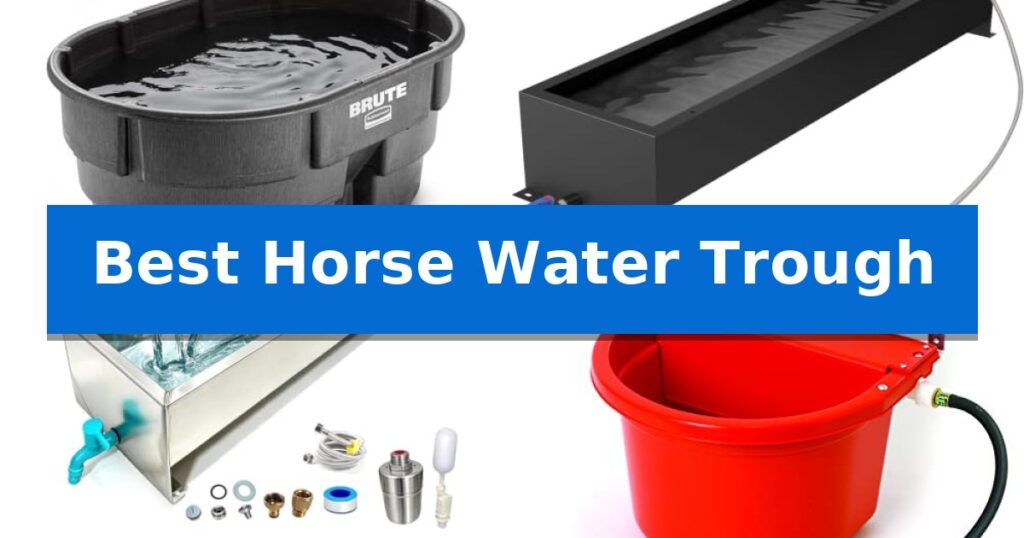 Best Horse Water Trough