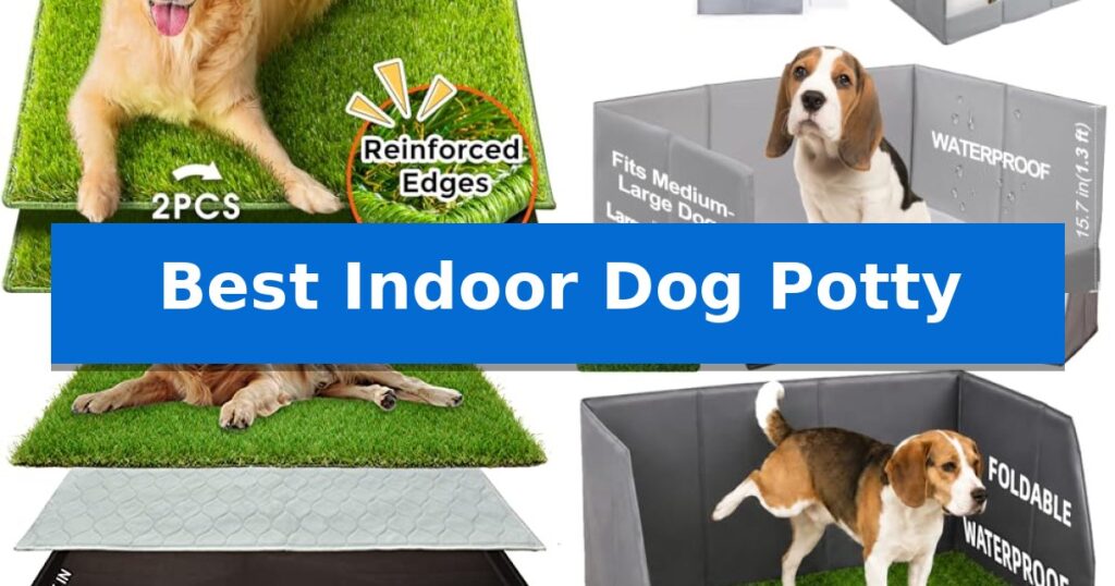 Best Indoor Dog Potty