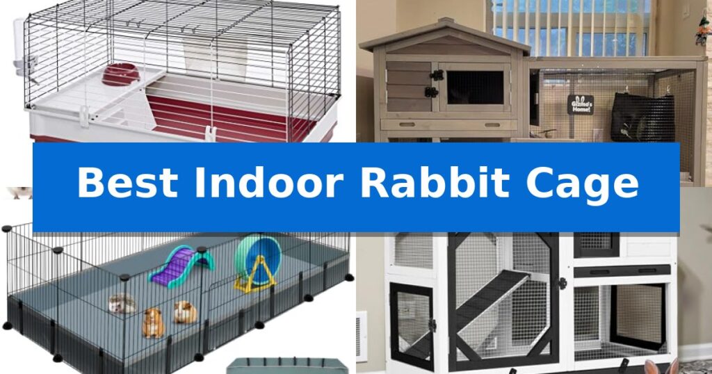Best Indoor Rabbit Cage