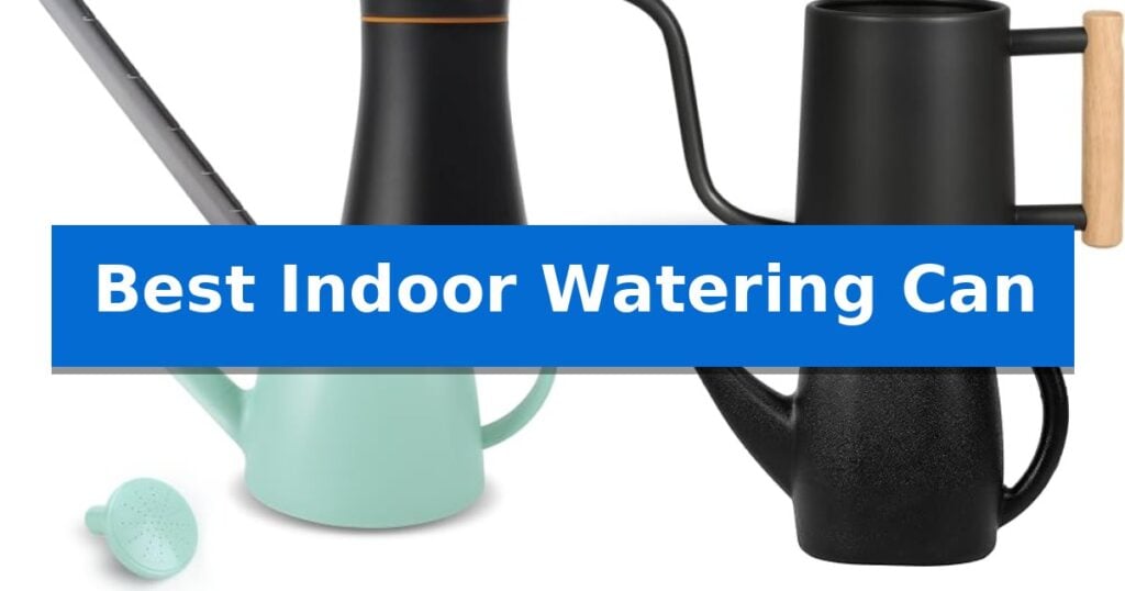Best Indoor Watering Can