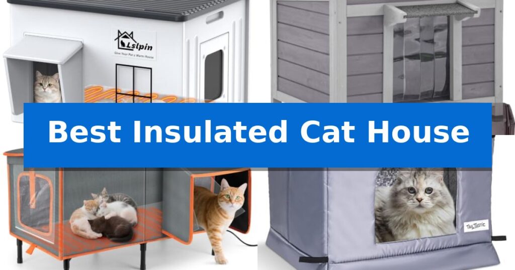 Best Insulated Cat House
