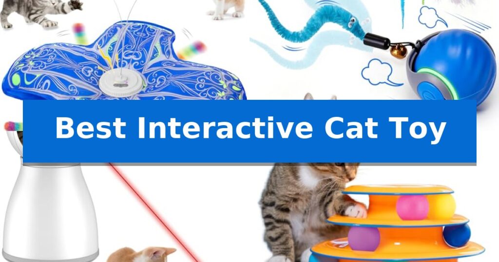 Best Interactive Cat Toy