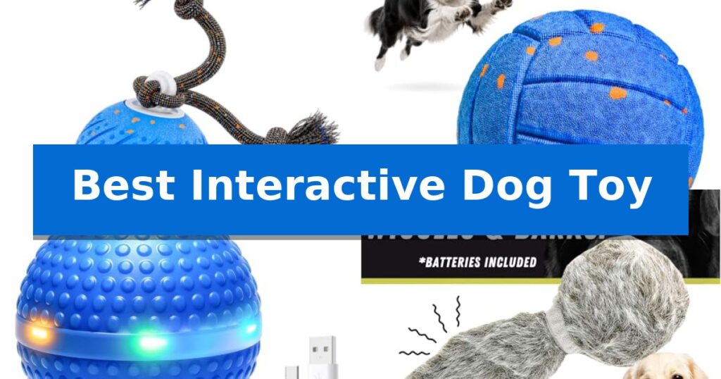 Best Interactive Dog Toy