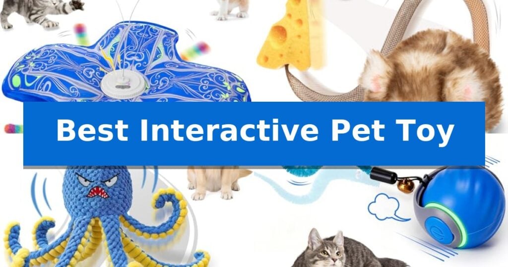 Best Interactive Pet Toy