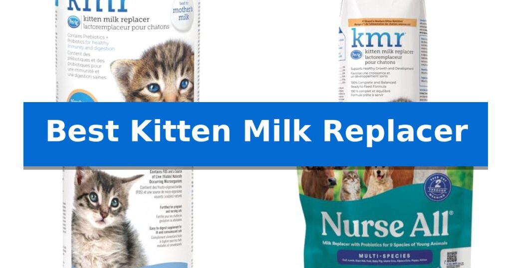 Best Kitten Milk Replacer