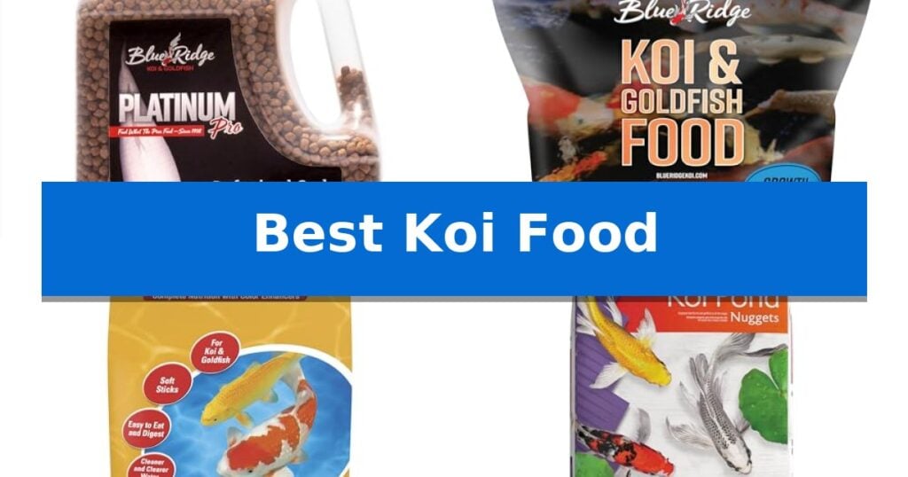 Best Koi Food