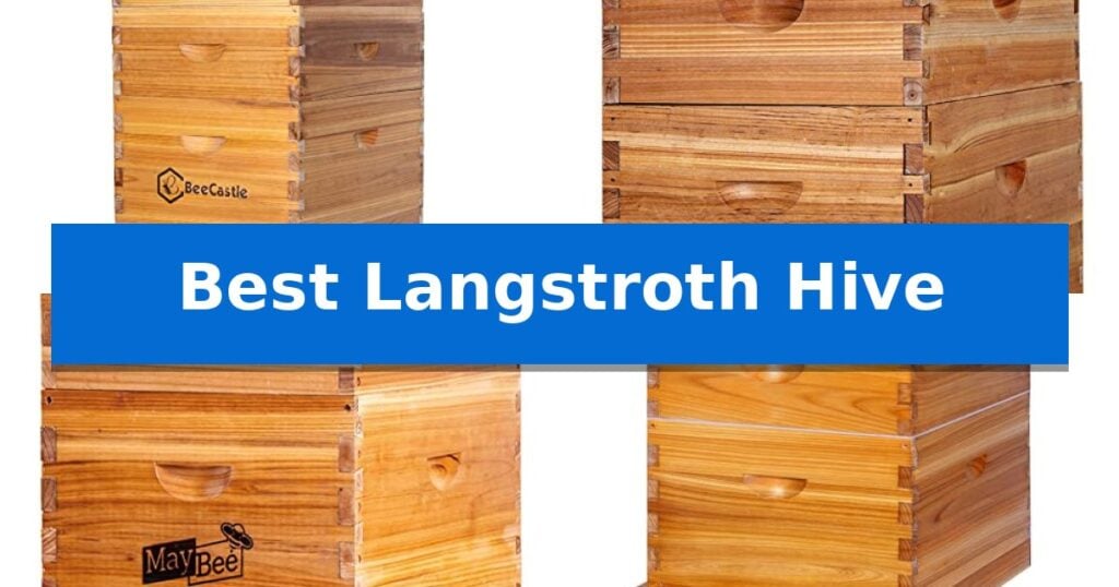 Best Langstroth Hive