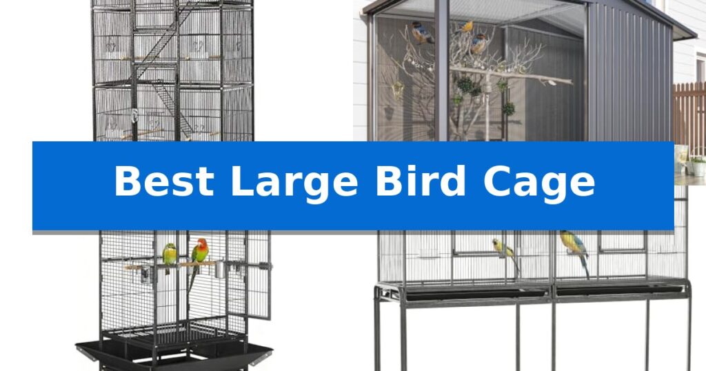 Best Large Bird Cage