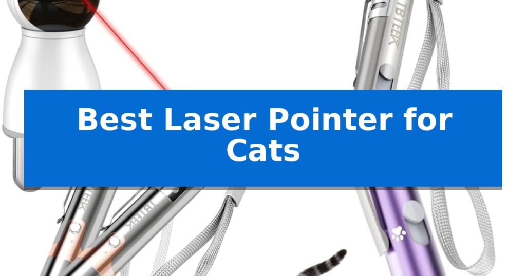Best Laser Pointer for Cats