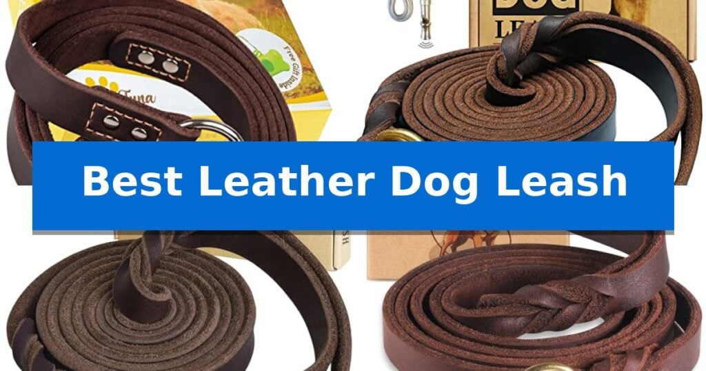 Best Leather Dog Leash