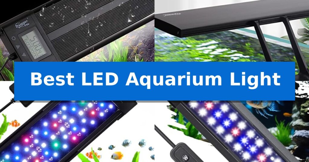 Best LED Aquarium Light