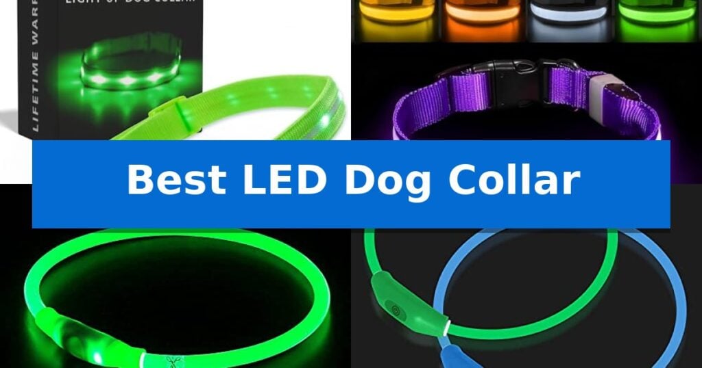 Best LED Dog Collar
