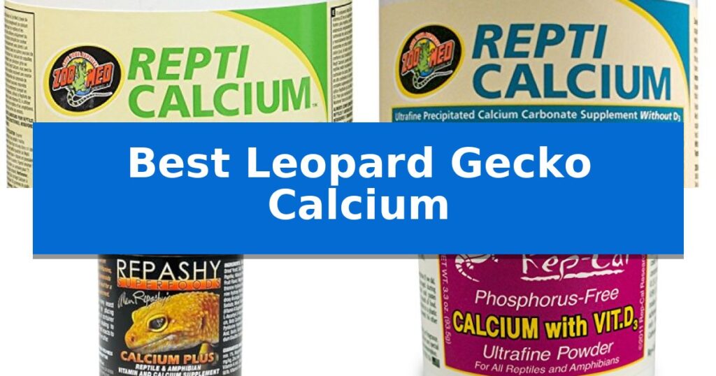 Best Leopard Gecko Calcium