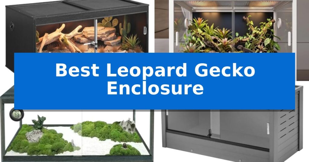 Best Leopard Gecko Enclosure