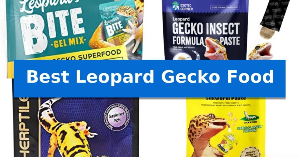 Best Leopard Gecko Food