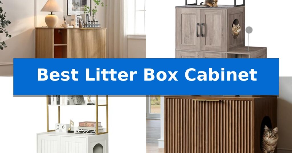 Best Litter Box Cabinet