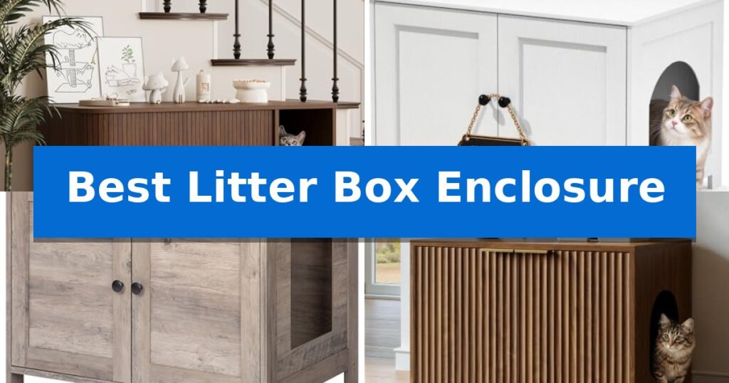Best Litter Box Enclosure