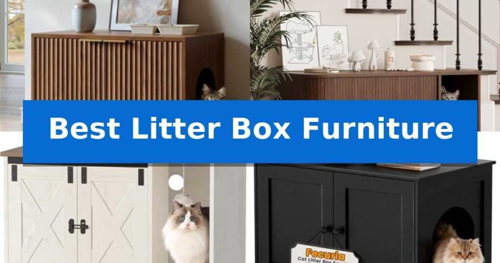 Best Litter Box Furniture
