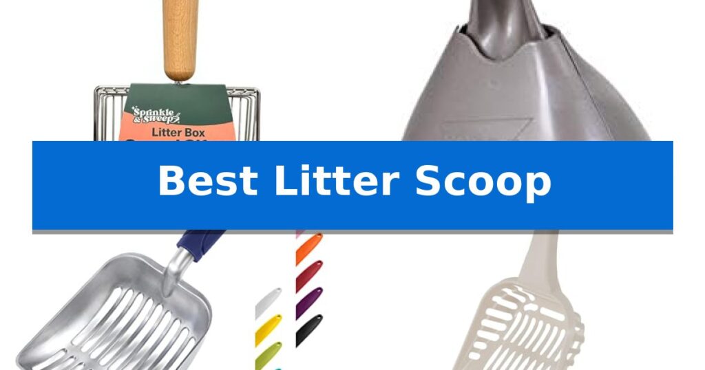 Best Litter Scoop