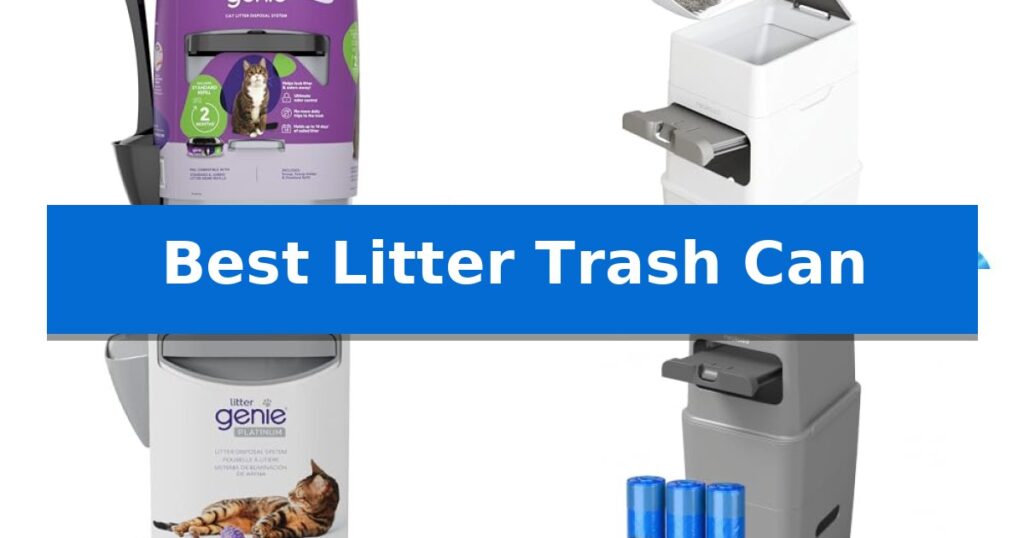 Best Litter Trash Can