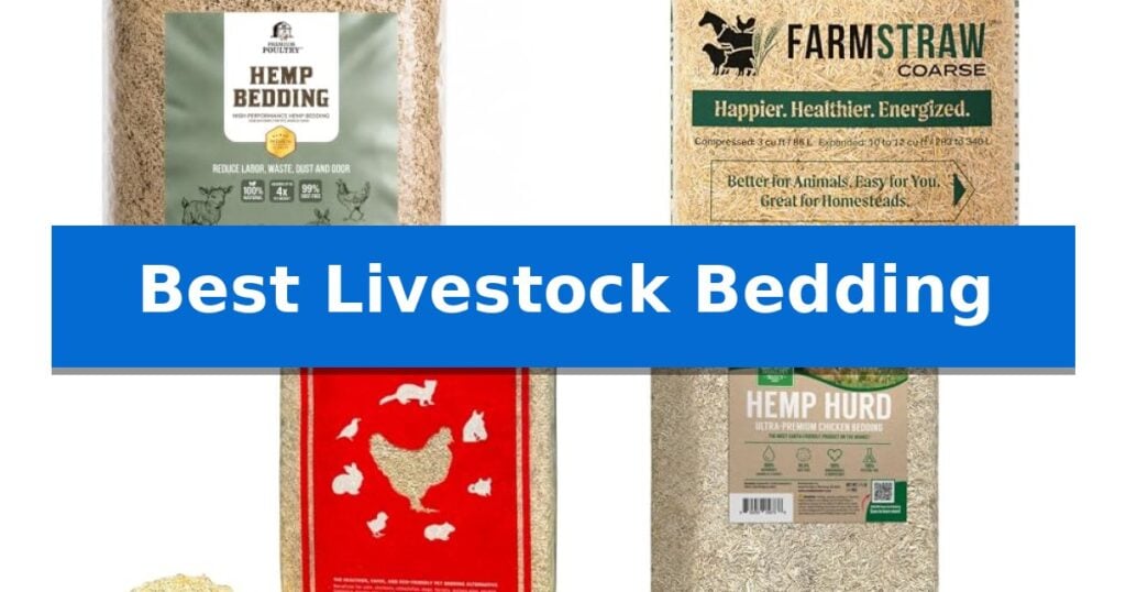 Best Livestock Bedding