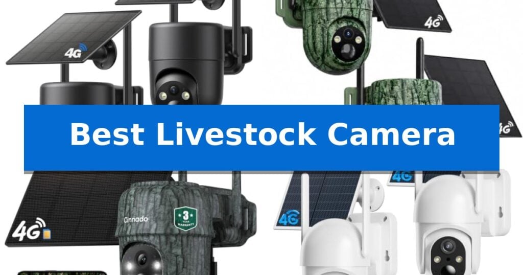 Best Livestock Camera