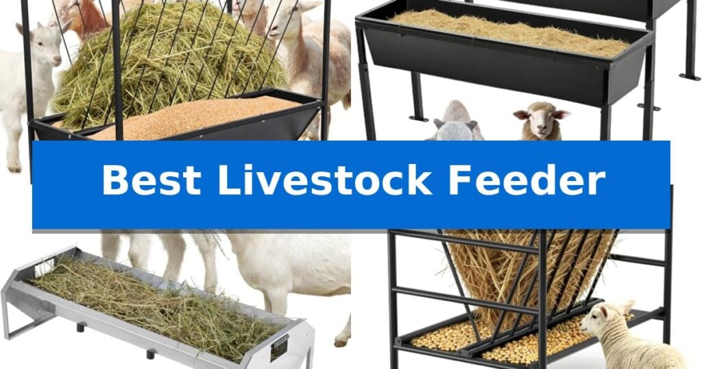 Best Livestock Feeder