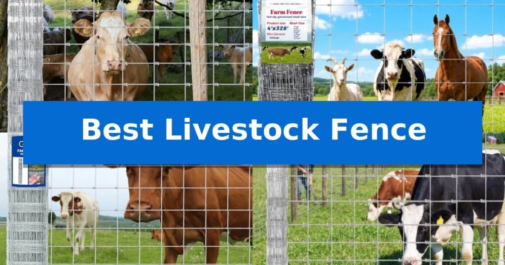 Best Livestock Fence